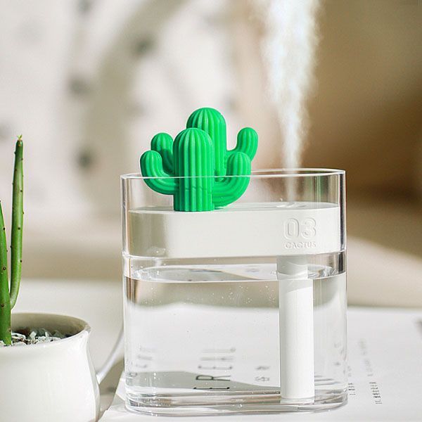 Clear Cactus Humidifier